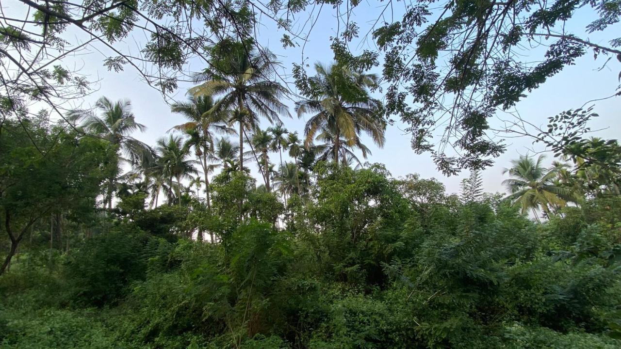 Lermitage Farms Kashid Alibaug Villa Ngoại thất bức ảnh