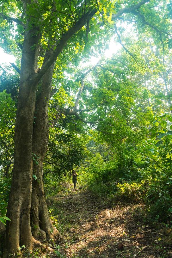 Lermitage Farms Kashid Alibaug Villa Ngoại thất bức ảnh
